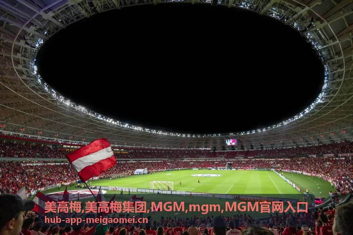 MGM 与 mgm 关键词说明配图